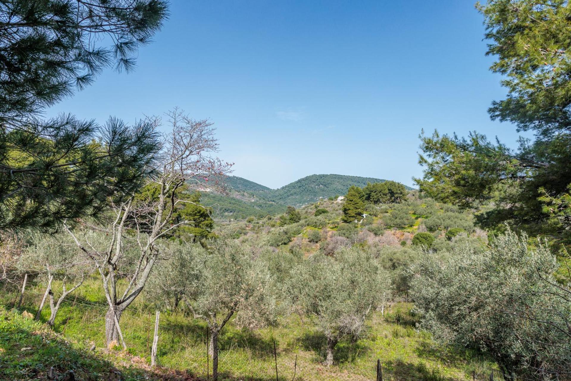 Elli Cottage Bandar Skopelos Luaran gambar