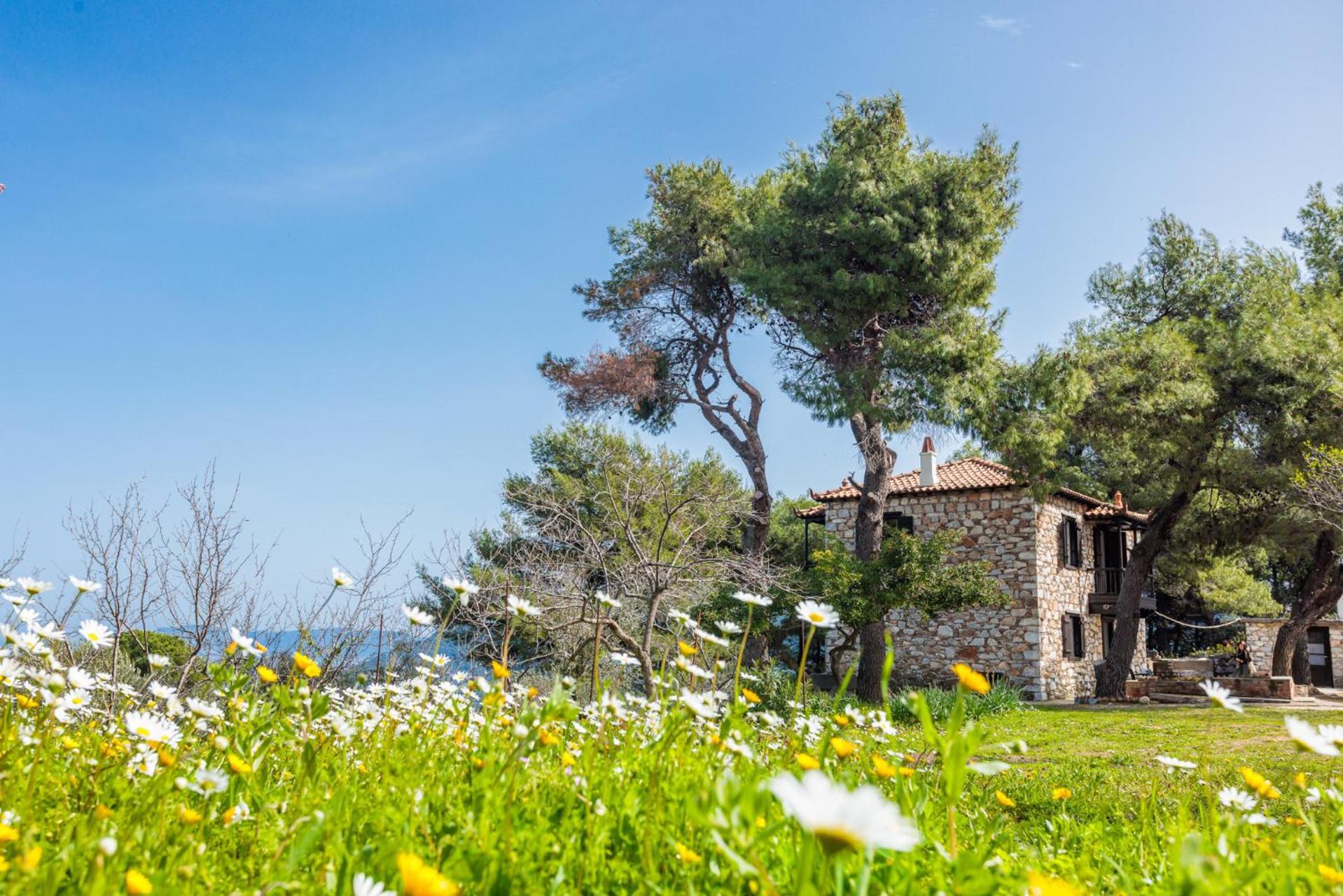 Elli Cottage Bandar Skopelos Luaran gambar