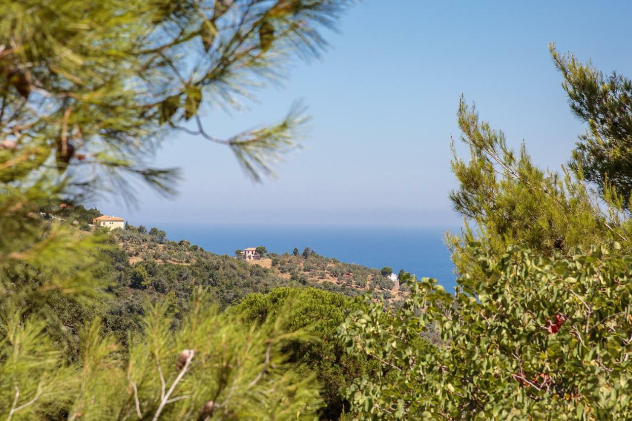 Elli Cottage Bandar Skopelos Luaran gambar